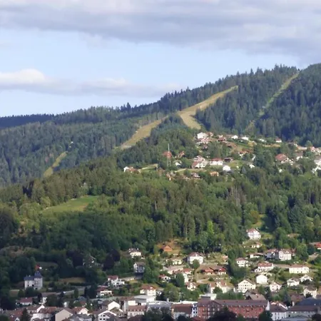 Apartment With Balcony In Gerardmer